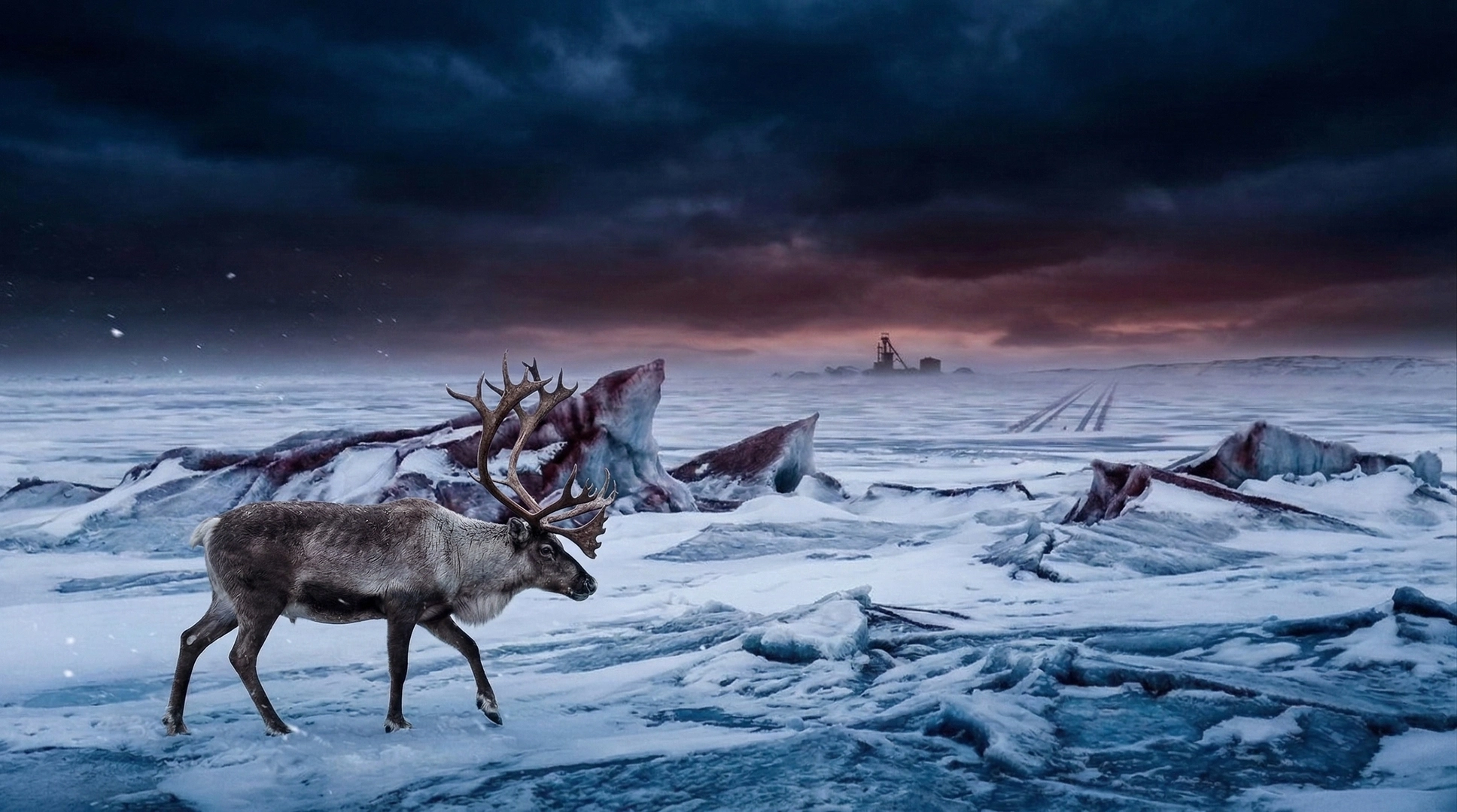 Wildlife and Environment